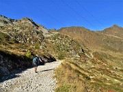 27 Camminiamo per un buon tratto sulla strada gippabile per il Rif. Dordona